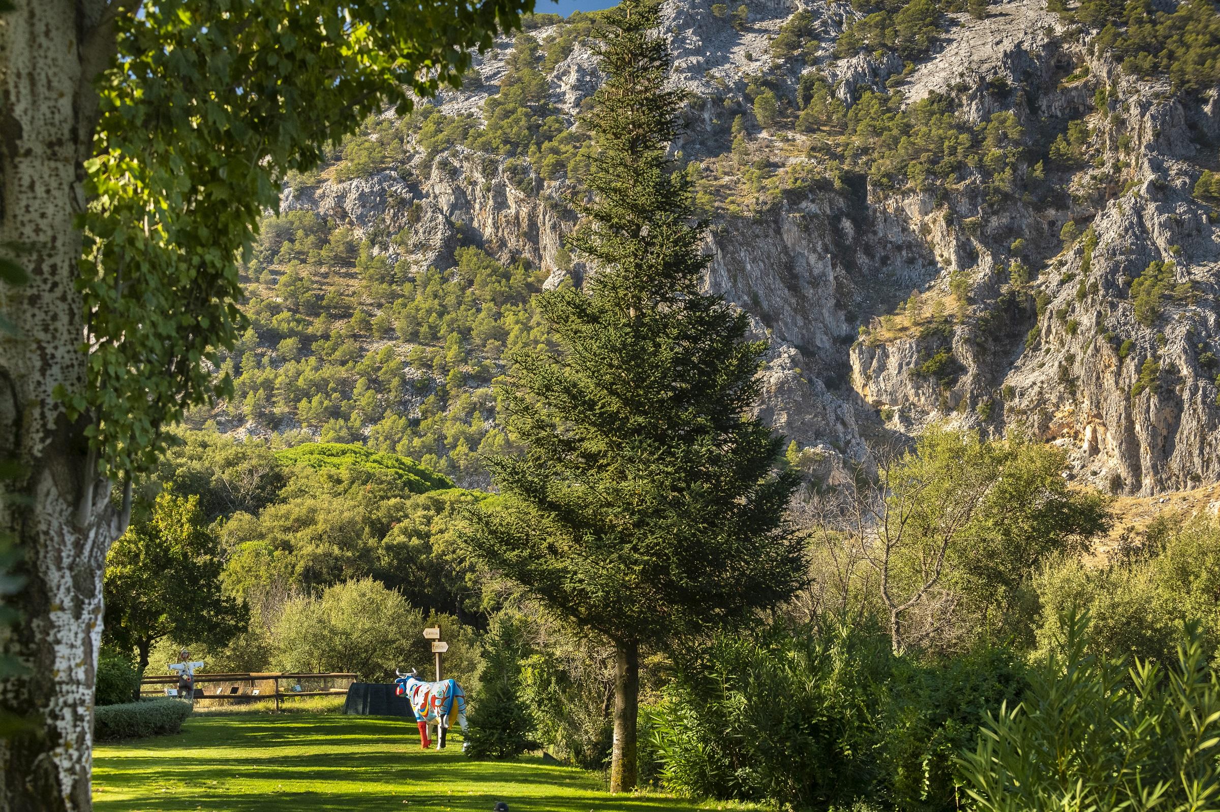 Hotel Fuerte Grazalema Bagian luar foto